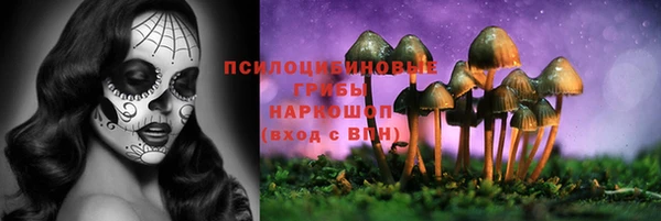 наркотики Инта