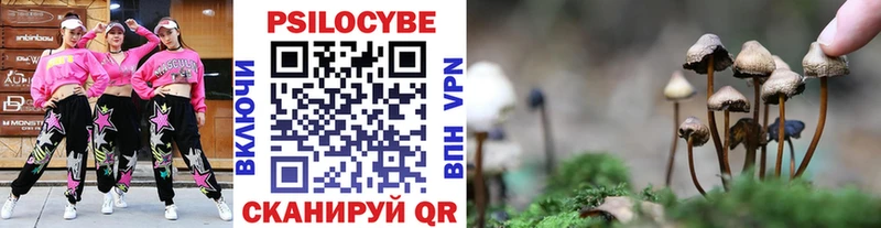 Купить  Великий Устюг  Галлюциногенные грибы мухоморы 